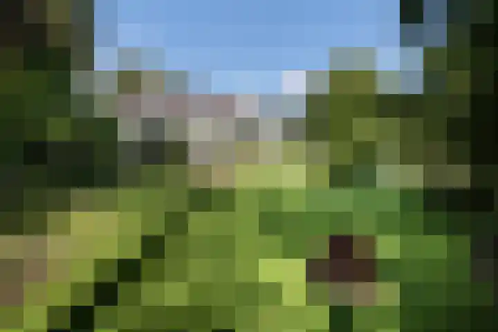 Ebbingeweg 6 Bentveld thumbnail 31