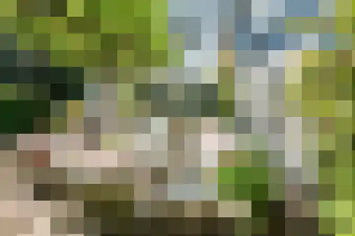Ebbingeweg 6 Bentveld thumbnail 34