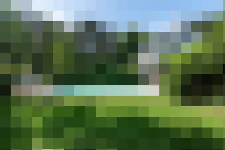 Ebbingeweg 6 Bentveld thumbnail 35