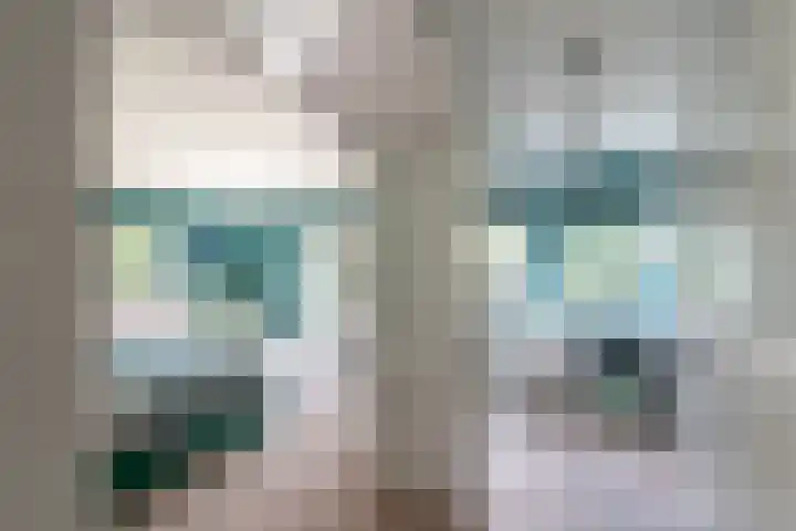 Ebbingeweg 6 Bentveld thumbnail 38
