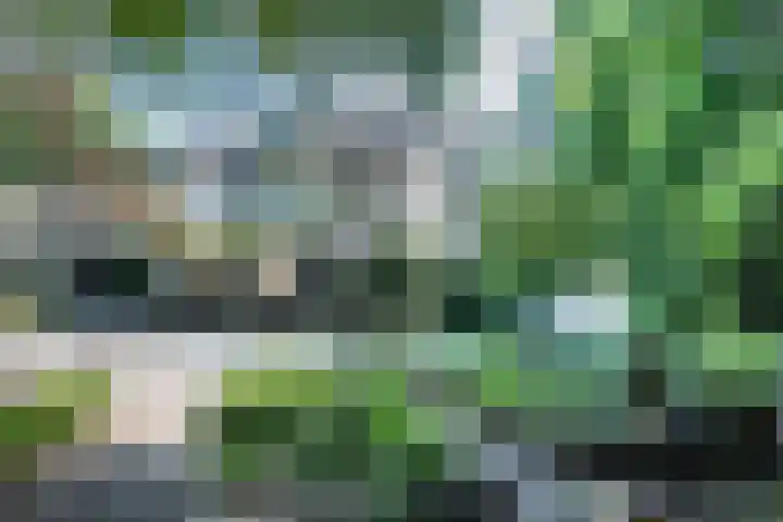 Ebbingeweg 6 Bentveld thumbnail 4