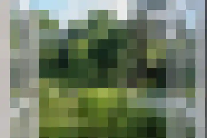 Ebbingeweg 6 Bentveld thumbnail 40