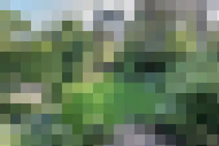 Ebbingeweg 6 Bentveld thumbnail 44
