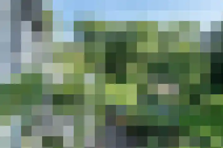 Ebbingeweg 6 Bentveld thumbnail 45