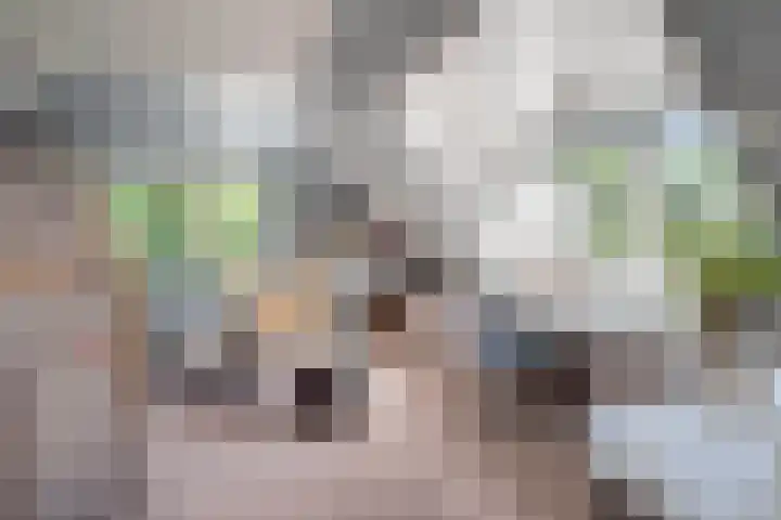 Ebbingeweg 6 Bentveld thumbnail 49