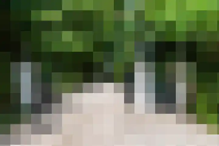 Ebbingeweg 6 Bentveld thumbnail 5