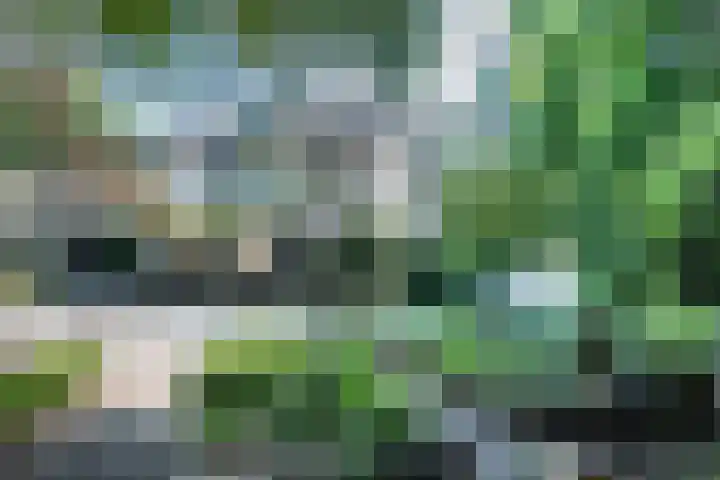 Ebbingeweg 6 Bentveld thumbnail 52