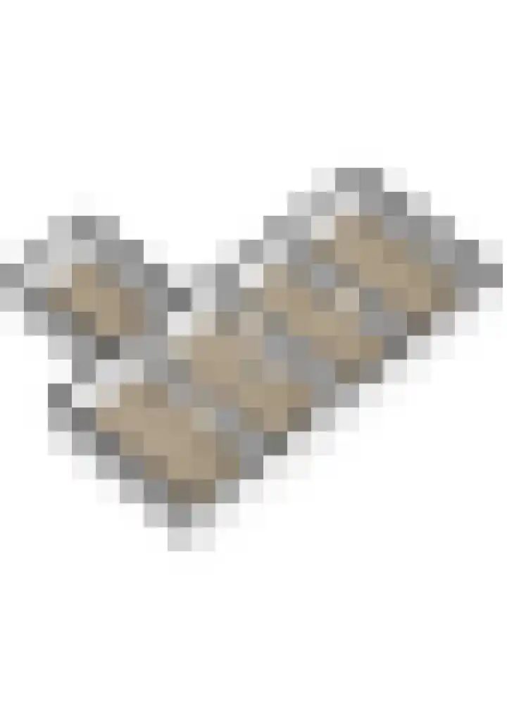 Ebbingeweg 6 Bentveld thumbnail 62