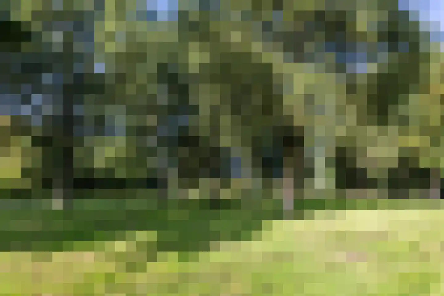 Ebenezer Howardpark 12 Almere thumbnail 50