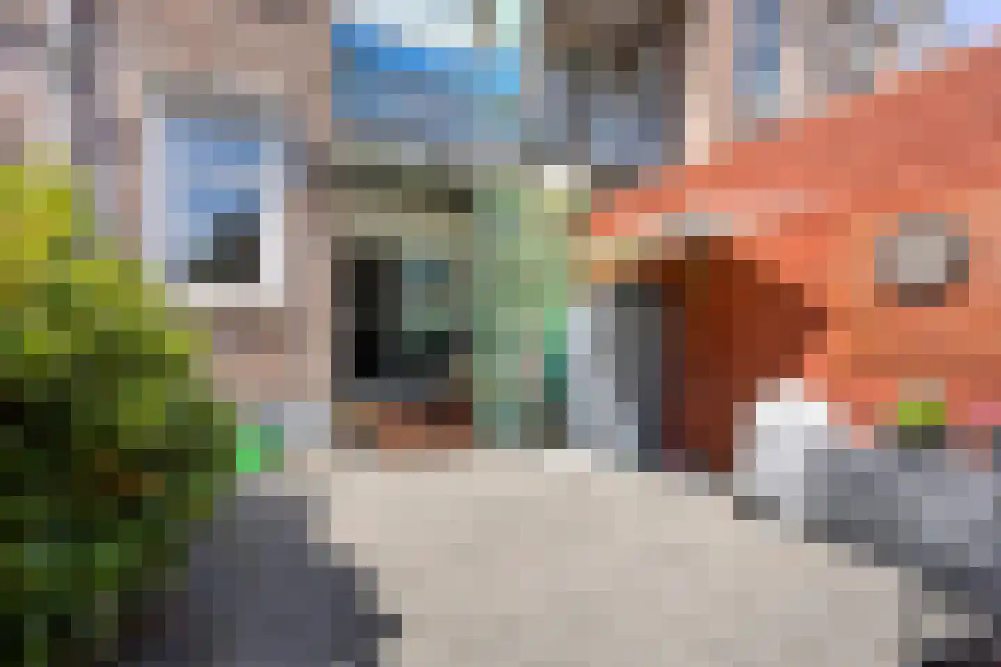 Ebenhaëzerstraat 44 B Rotterdam thumbnail 22