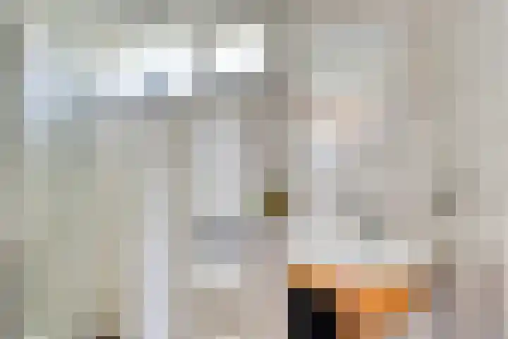 Ebenistendreef 13 Maastricht thumbnail 16