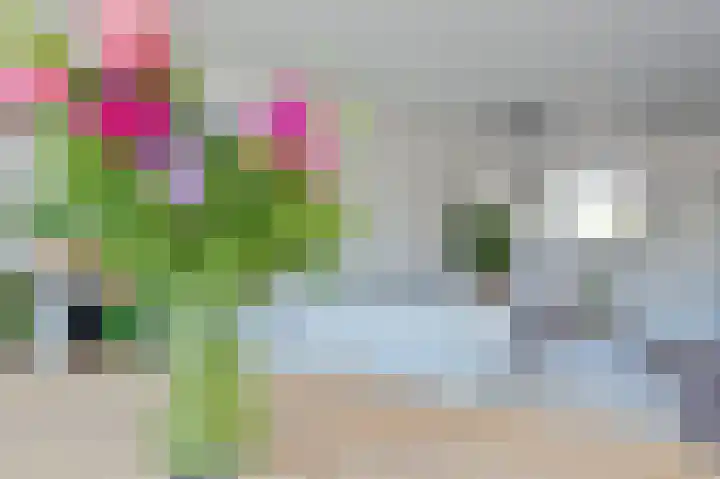 Ebro 133 Uithoorn thumbnail 11