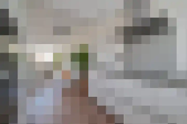 Ebro 133 Uithoorn thumbnail 13