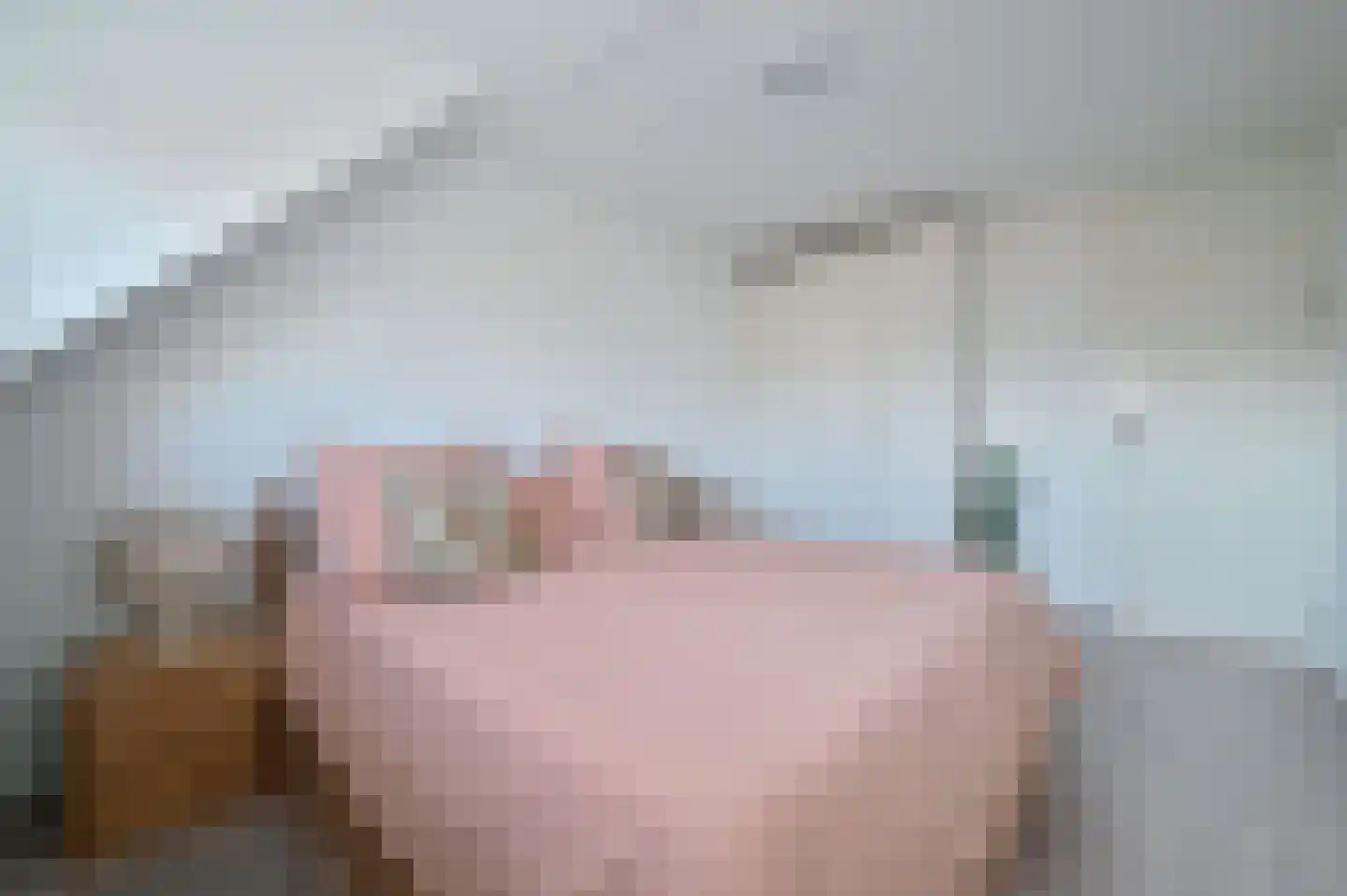 Ebro 133 Uithoorn thumbnail 18