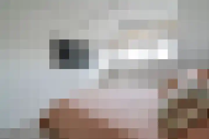 Ebro 133 Uithoorn thumbnail 19