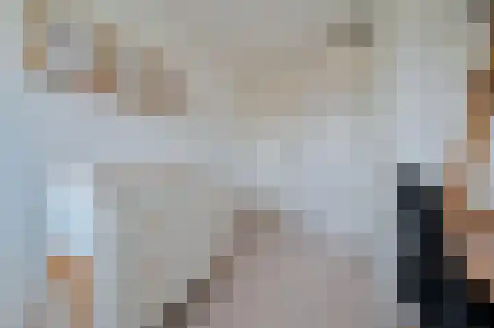 Ebro 133 Uithoorn thumbnail 23