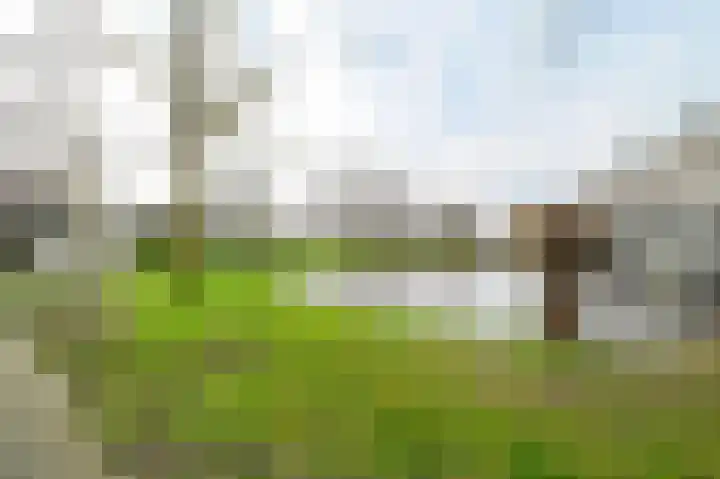 Ebro 133 Uithoorn thumbnail 48