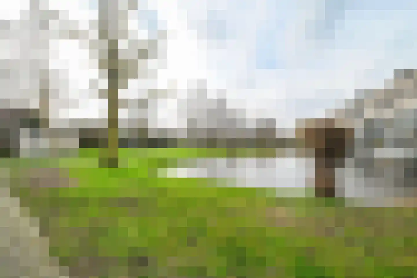 Ebro 133 Uithoorn thumbnail 48