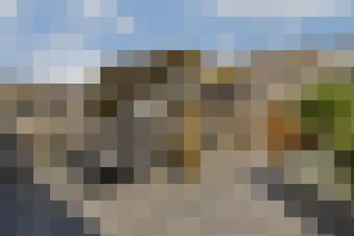 Ebro 138 Uithoorn thumbnail 18