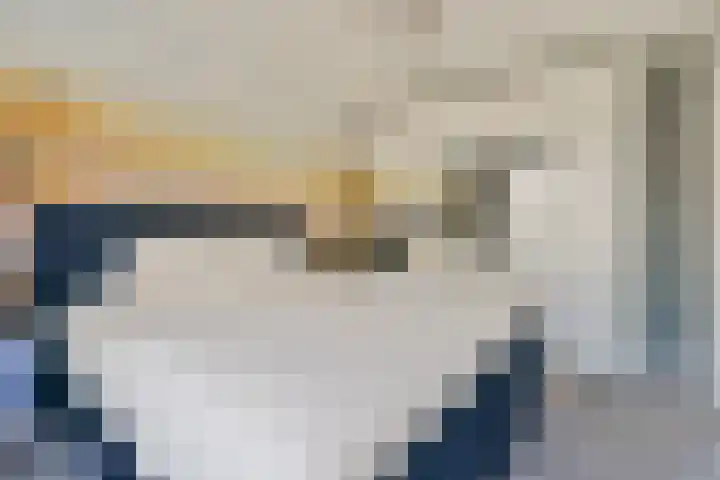 Ebro 138 Uithoorn thumbnail 25