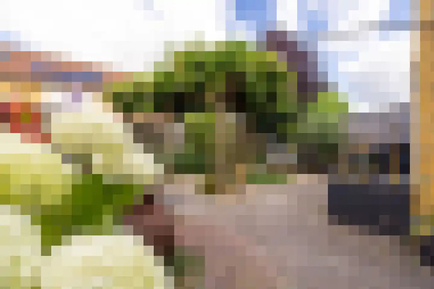 Ebro 32 Doetinchem thumbnail 17