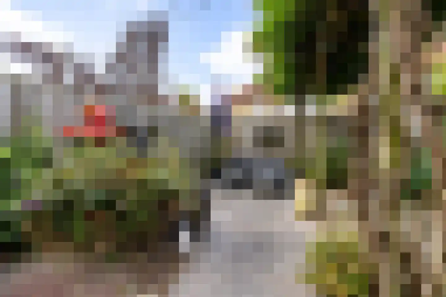 Ebro 32 Doetinchem thumbnail 18