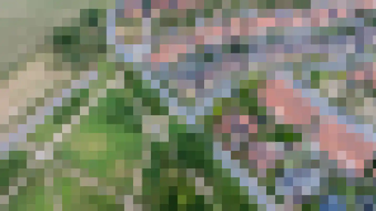 Ebro 32 Doetinchem thumbnail 48