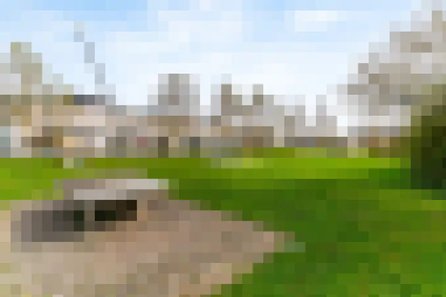 Ebro 77 Uithoorn thumbnail 25