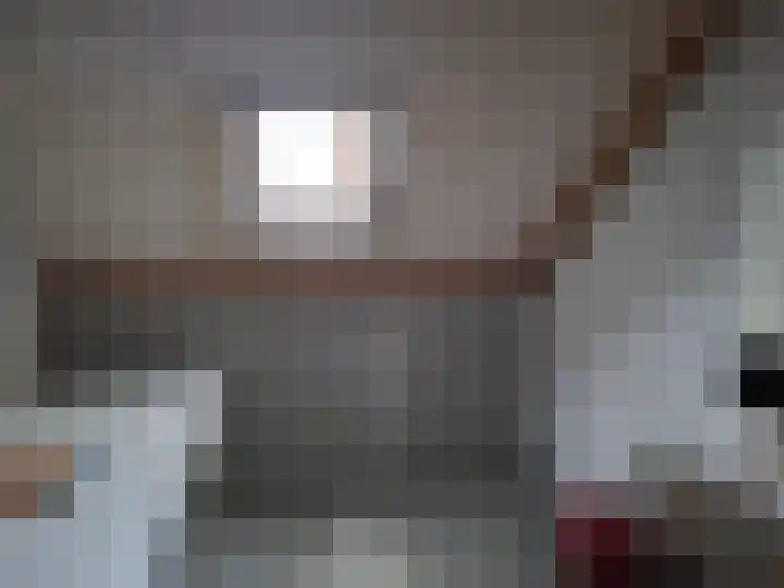 Ebrostraat 30 Spijkenisse thumbnail 10