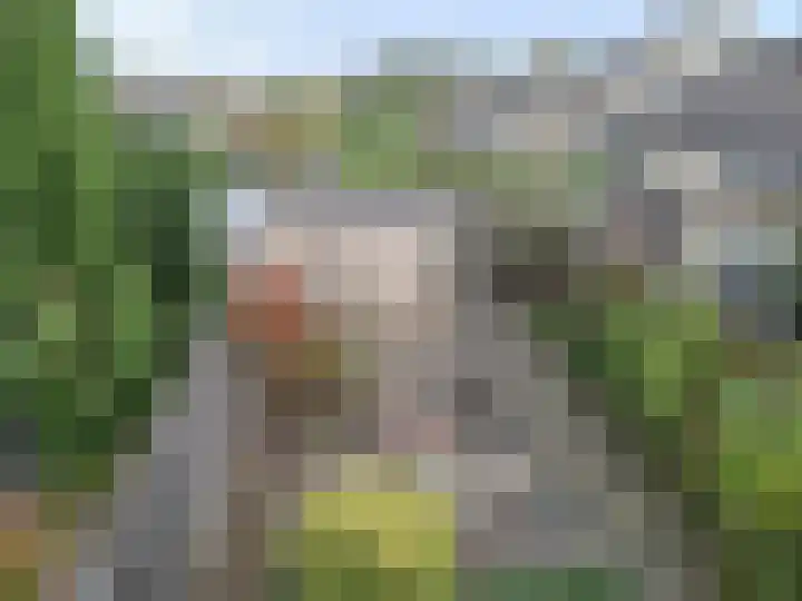Ebrostraat 30 Spijkenisse thumbnail 12