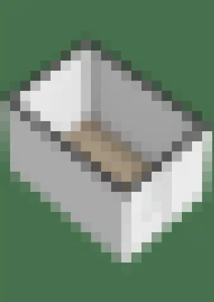 Ebrostraat 30 Spijkenisse thumbnail 22