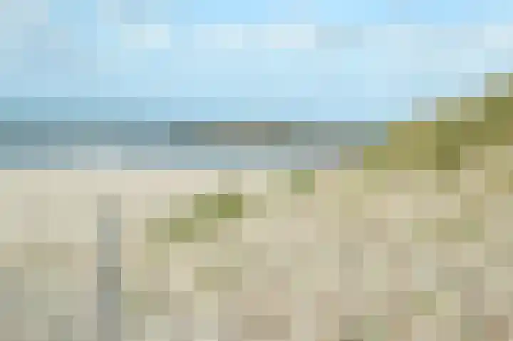Ebrostraat 30 Spijkenisse thumbnail 4