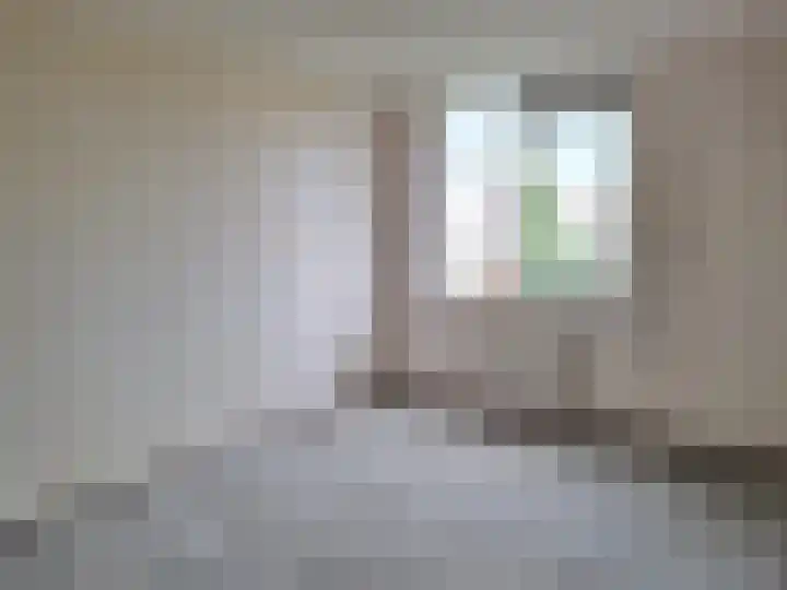 Ebrostraat 30 Spijkenisse thumbnail 5