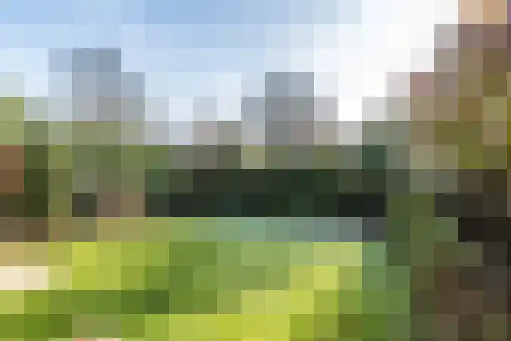 Ebrostraat 30 Spijkenisse thumbnail 7
