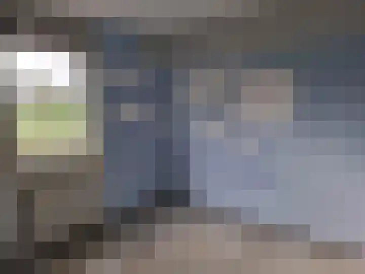 Ebrostraat 30 Spijkenisse thumbnail 7