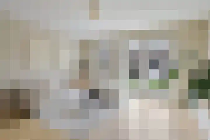 Ebrostraat 30 Spijkenisse thumbnail 8