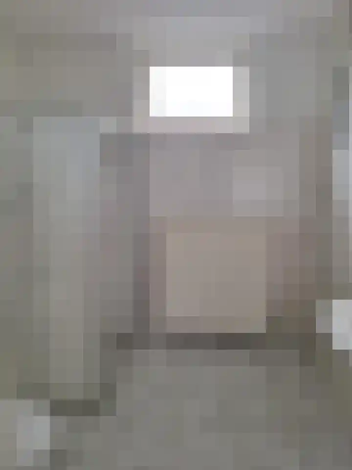 Ebrostraat 30 Spijkenisse thumbnail 8