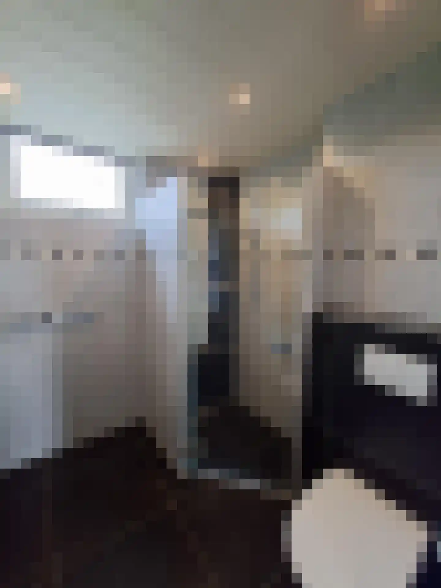 Ebrostraat 32 Spijkenisse thumbnail 12