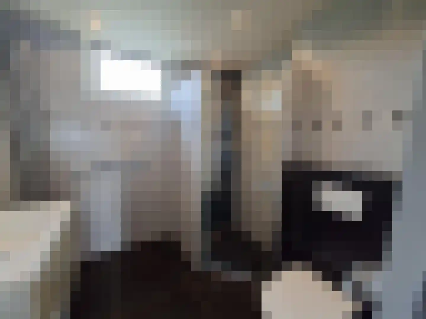 Ebrostraat 32 Spijkenisse thumbnail 13