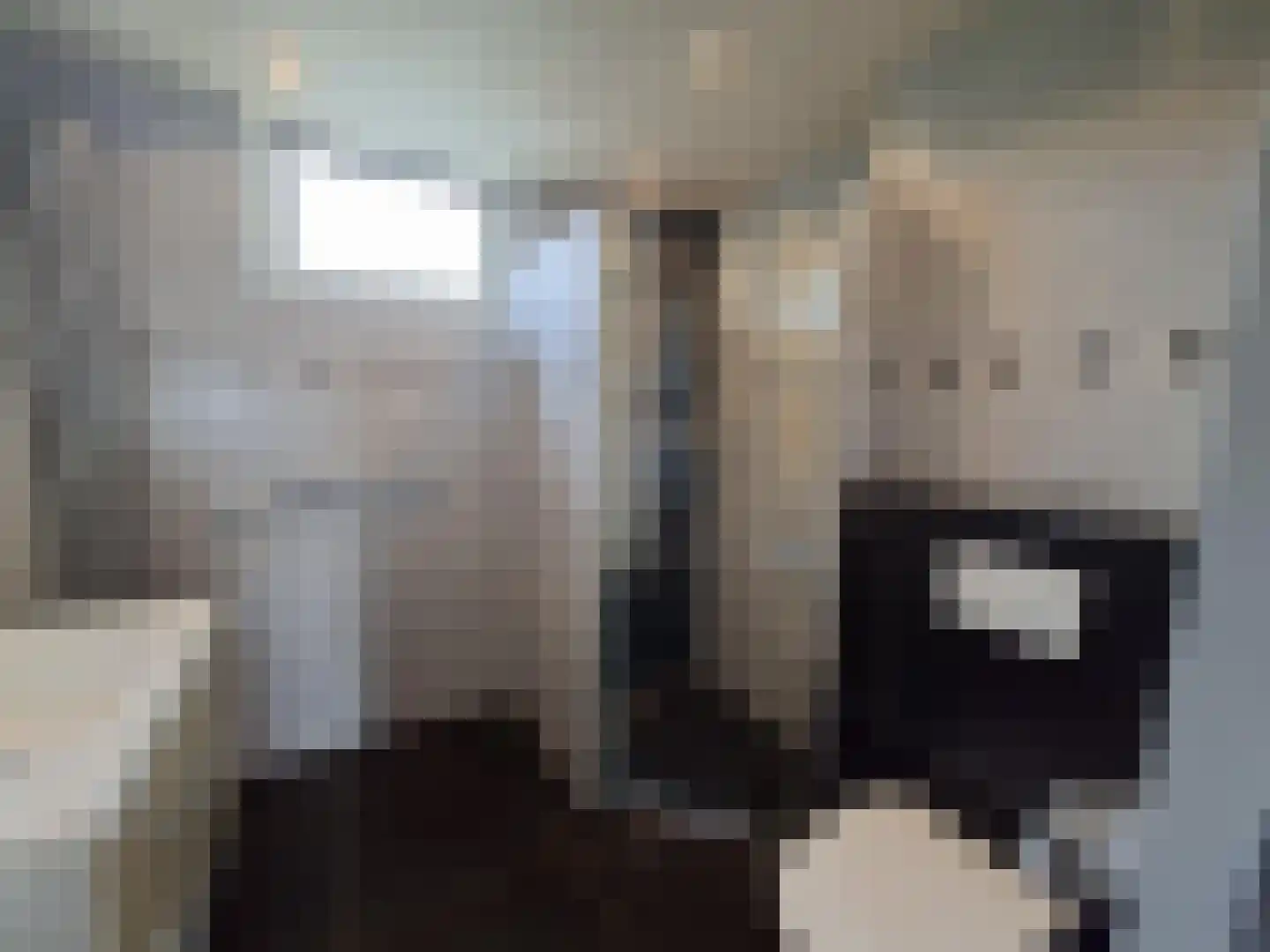 Ebrostraat 32 Spijkenisse thumbnail 13