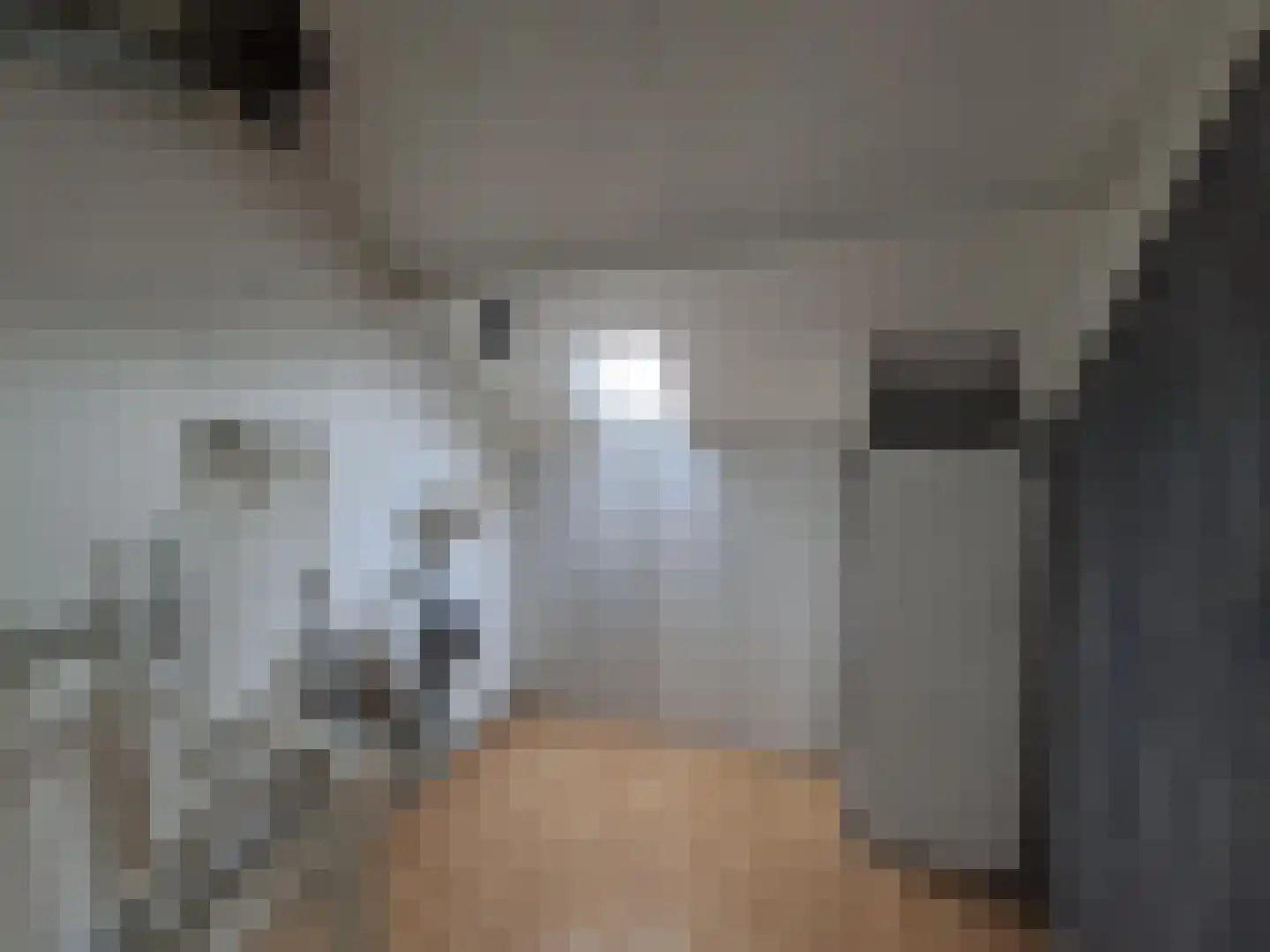 Ebrostraat 32 Spijkenisse thumbnail 14