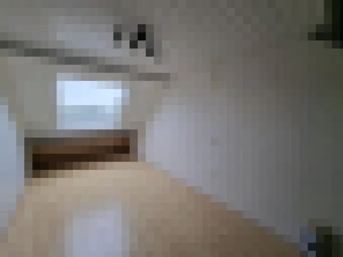 Ebrostraat 32 Spijkenisse thumbnail 15