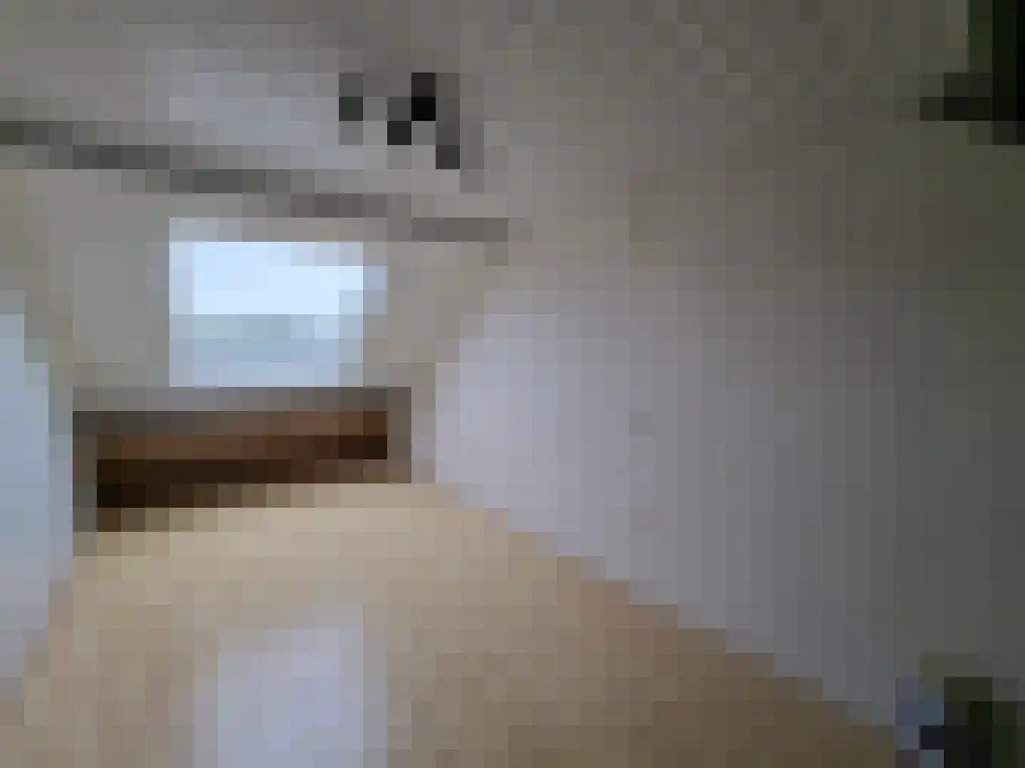 Ebrostraat 32 Spijkenisse thumbnail 15