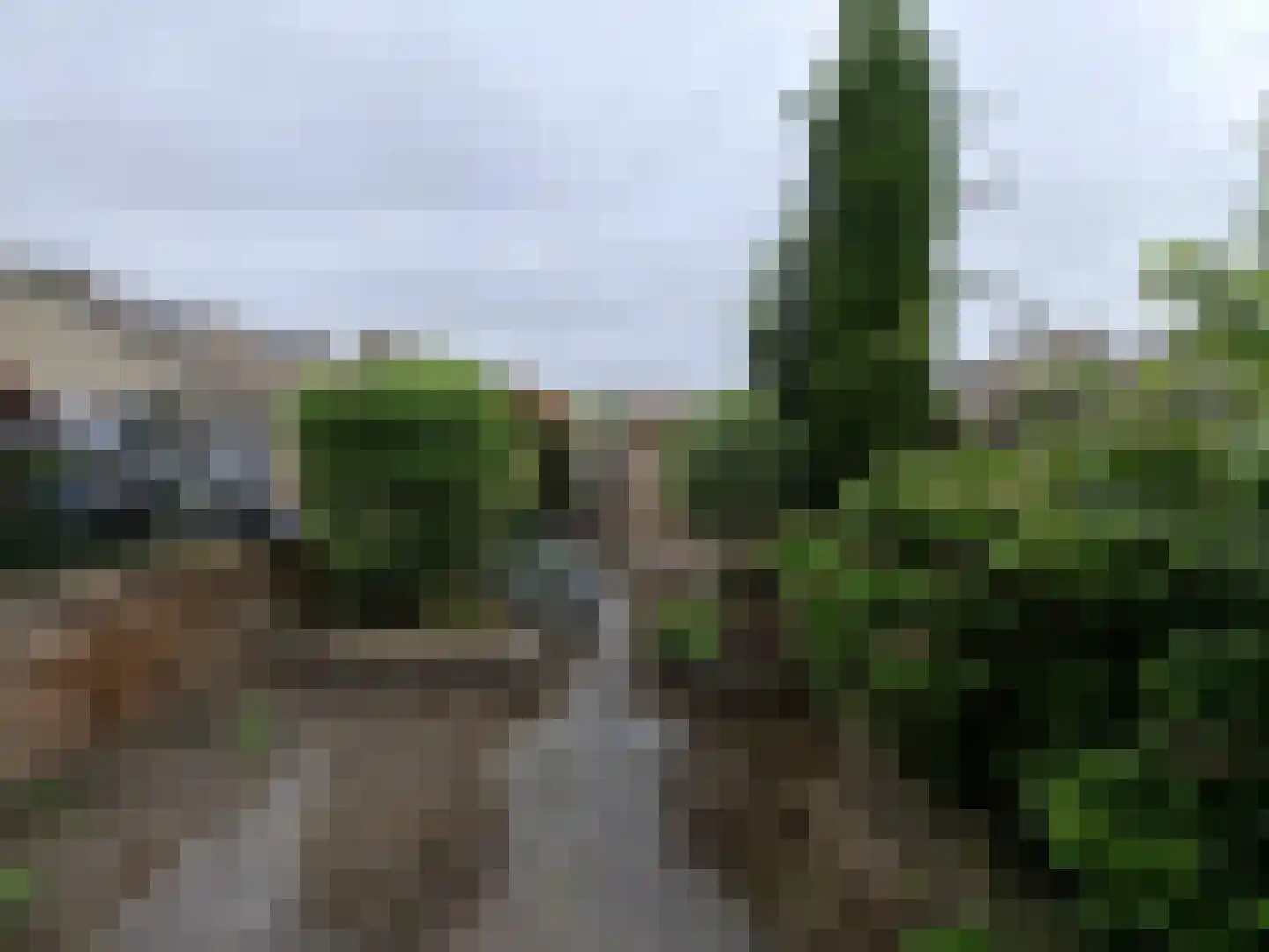 Ebrostraat 32 Spijkenisse thumbnail 19