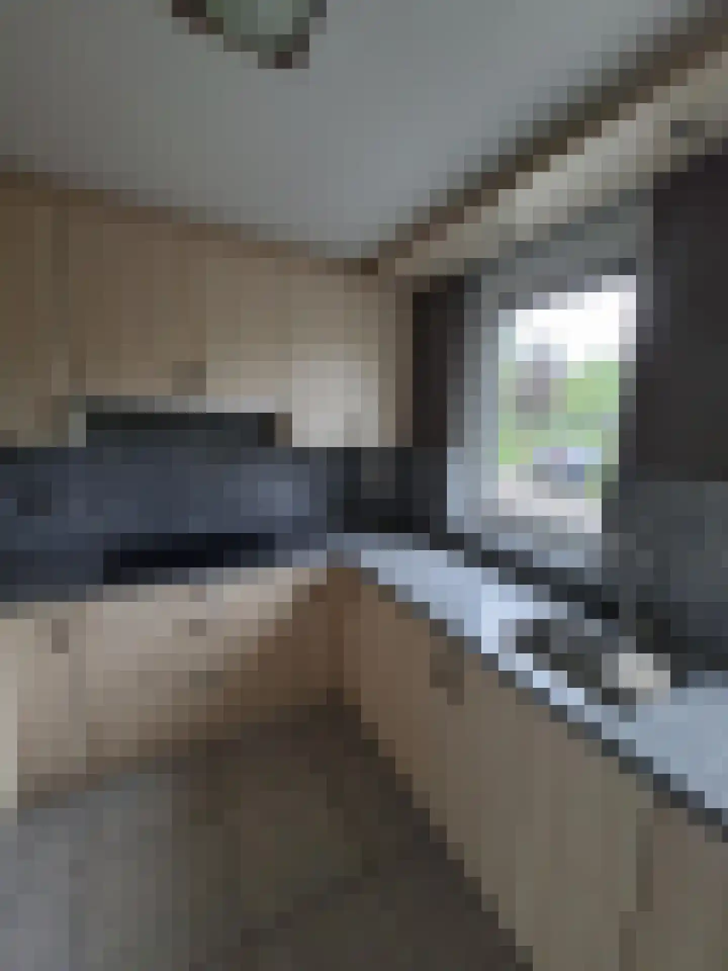 Ebrostraat 32 Spijkenisse thumbnail 4