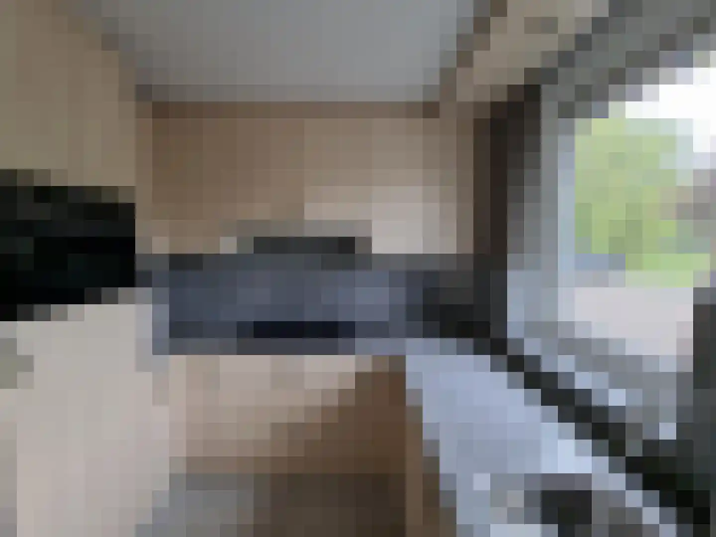 Ebrostraat 32 Spijkenisse thumbnail 5