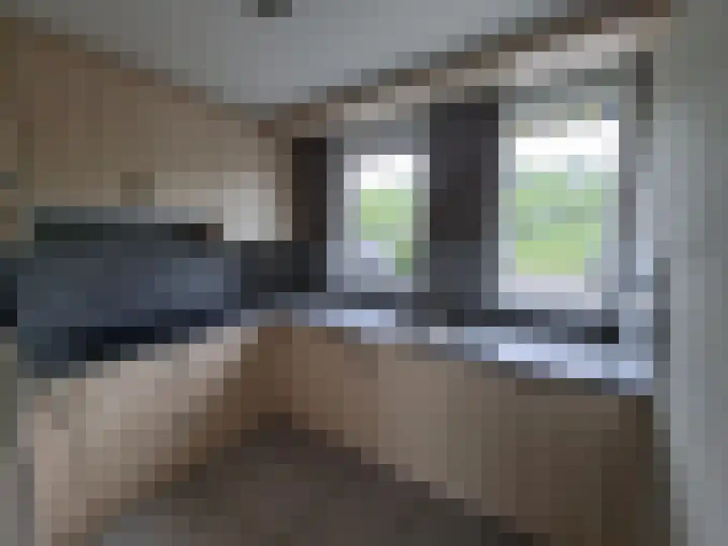 Ebrostraat 32 Spijkenisse thumbnail 6