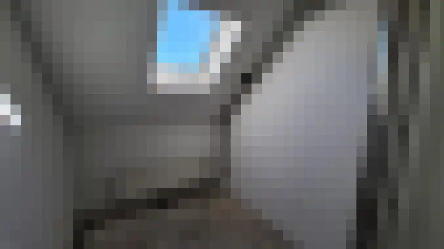 Ebrostraat 62 Spijkenisse thumbnail 10