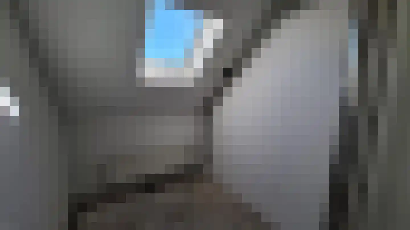 Ebrostraat 62 Spijkenisse thumbnail 10