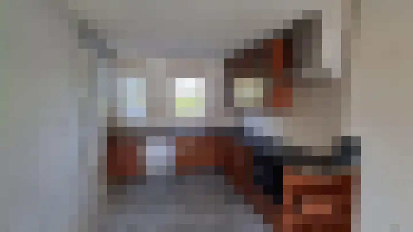 Ebrostraat 62 Spijkenisse thumbnail 4